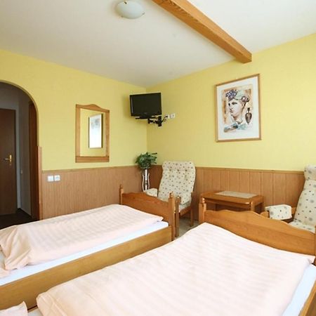 Hotel Solaster Garni Trebic Bagian luar foto